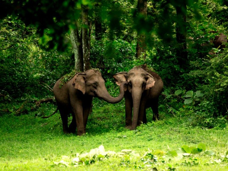 Kerala tour